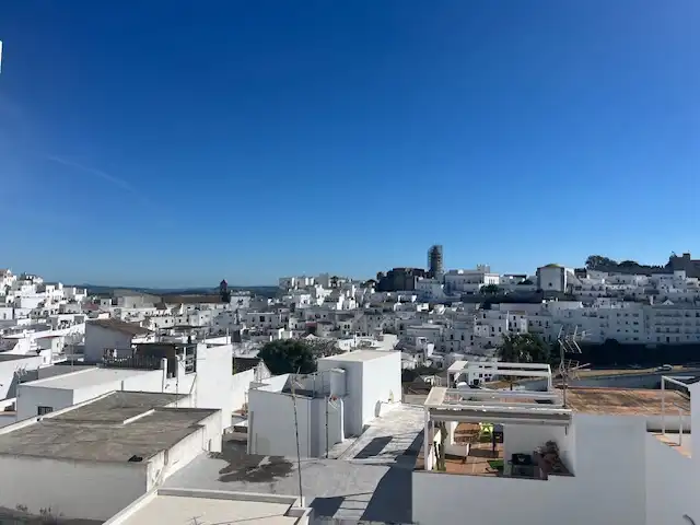 House for sale in Calle Juan de Sevilla 10, imagen 18