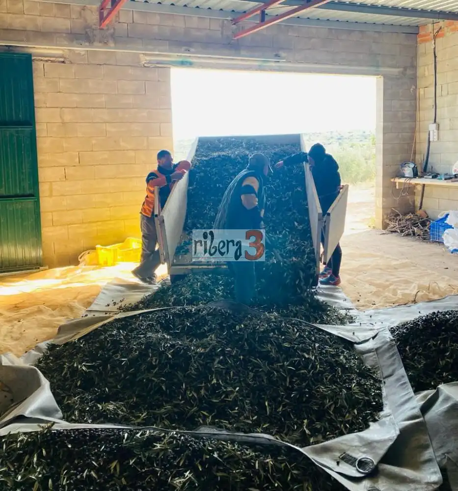 Finca rústica en venda a PARAJE CORRAL DE NARRO, Pozohondo