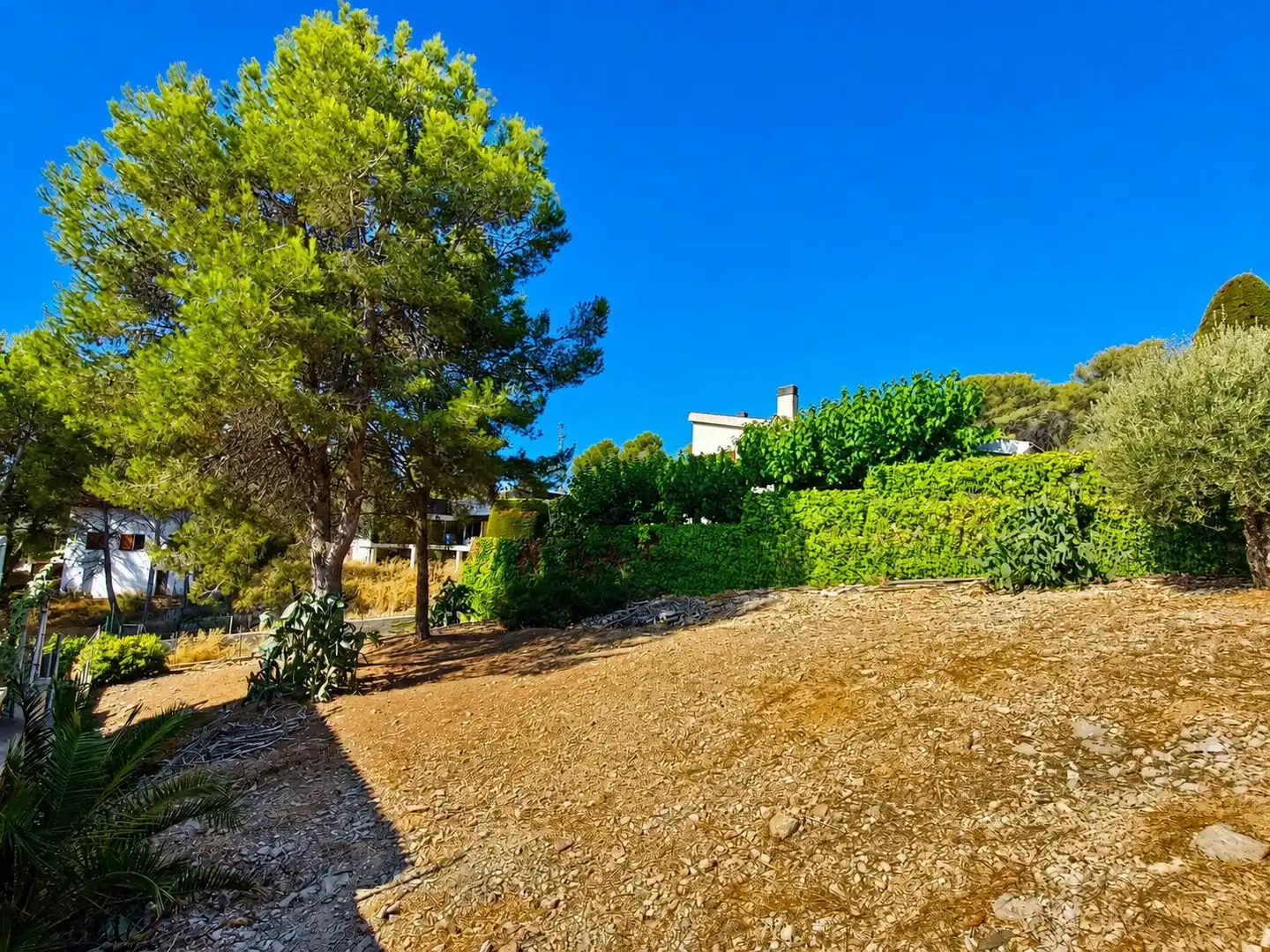 Terreno residencial en venta en Canyelles, imagen 3