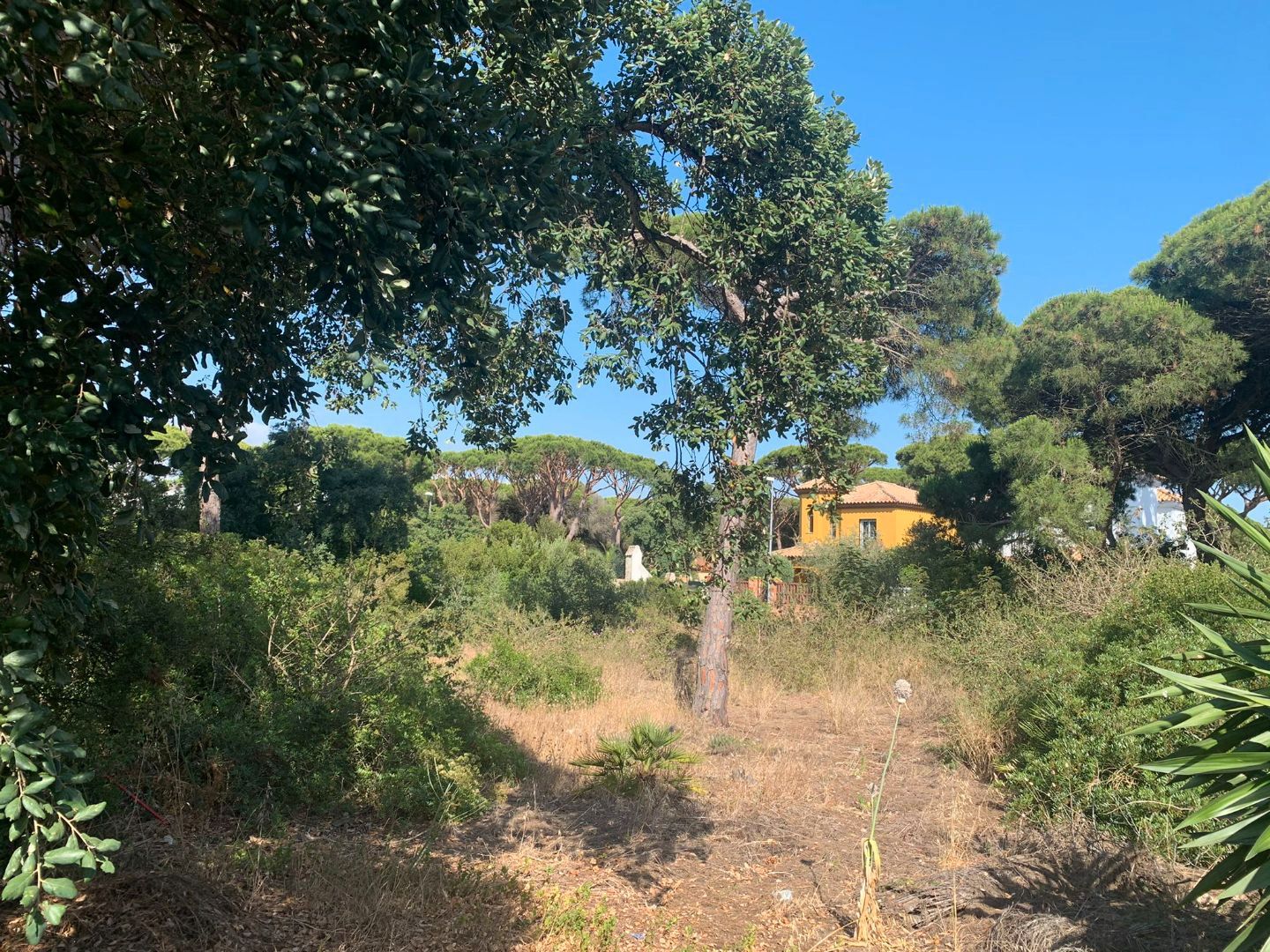 Residential for sale in Chiclana de la Frontera