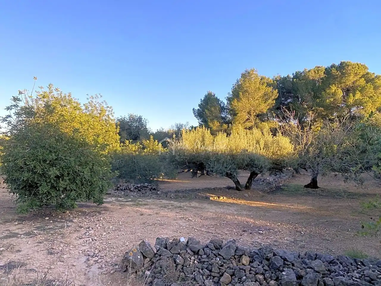 Terrain rustique à vendre à Baldiras, imagen 6