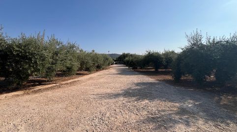 Photo 2 of Country homes for sale in Alcanar, Tarragona