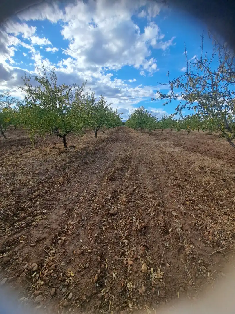 Rustikales Grundstück zum Verkauf in Guadix, imagen 6