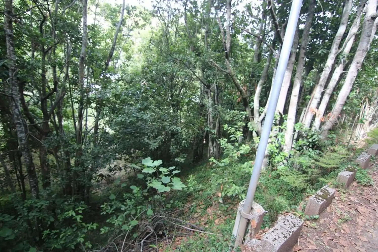 Terreno en venta en Valleseco