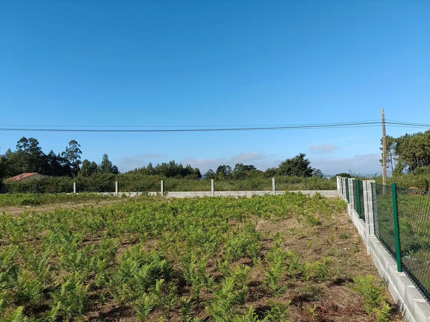 Casa o xalet en venda en Bergondo amb Jardí privat i Traster