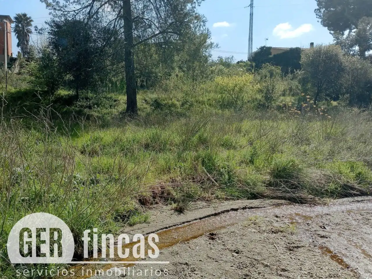 Rural land for sale in Calle Calera, imagen 5