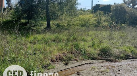 Agrícola NO EDIFICABLE, immagine 5