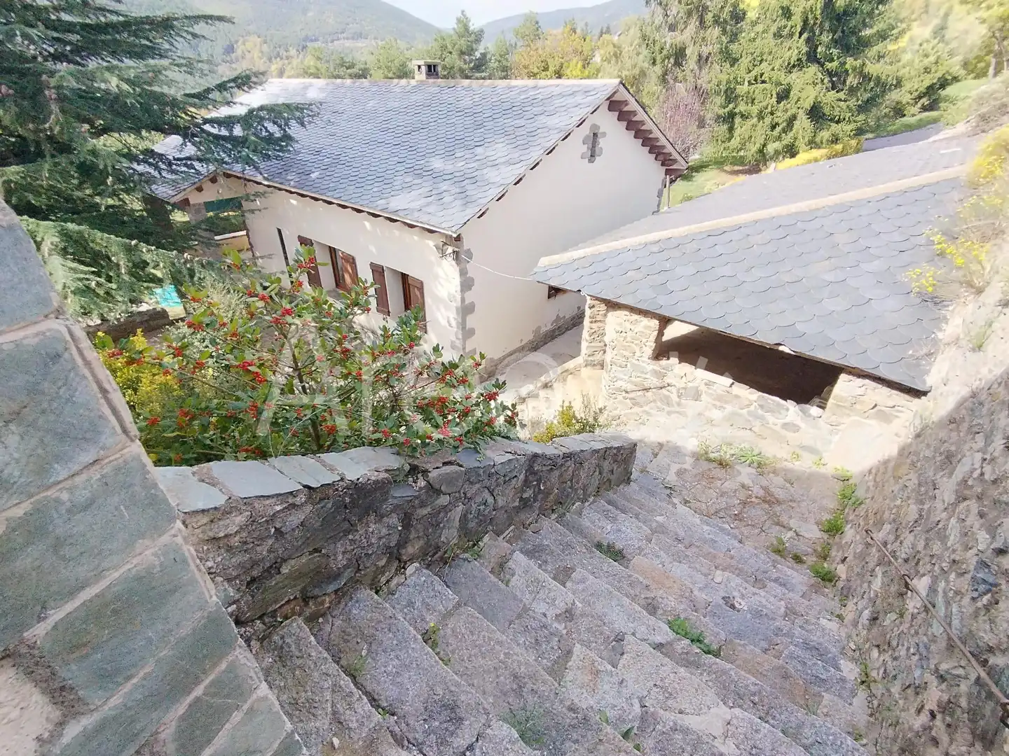 Casa o chalet en venta en Carretera Planoles, Planoles