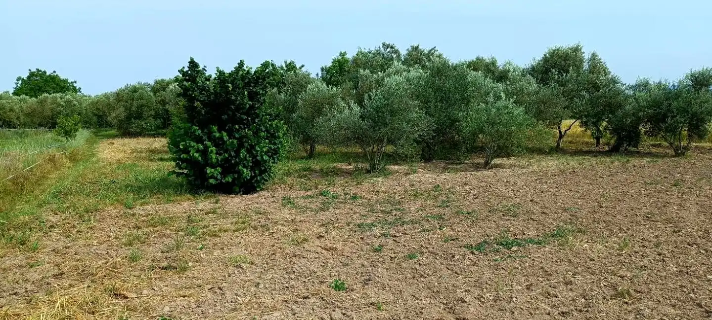 Finca rústica en venta en Mendavia con Jardín privado