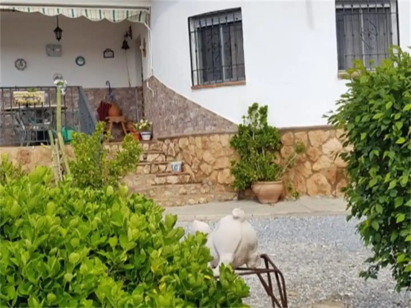 Jardí de Finca rústica en venda en Guadix amb Aire condicionat, Jardí privat i Piscina
