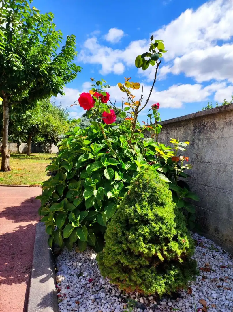 Villa con giardino in vendita a SOBRE IGREXA, imagen 82
