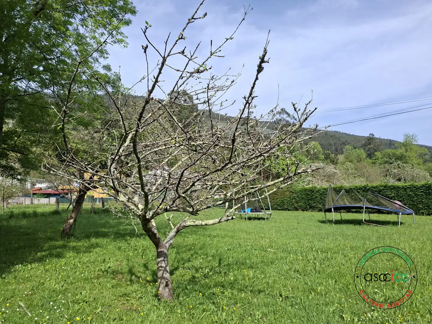 Terreno rustico in vendita a Peón - Caserío Manzanedo 202, imagen 7