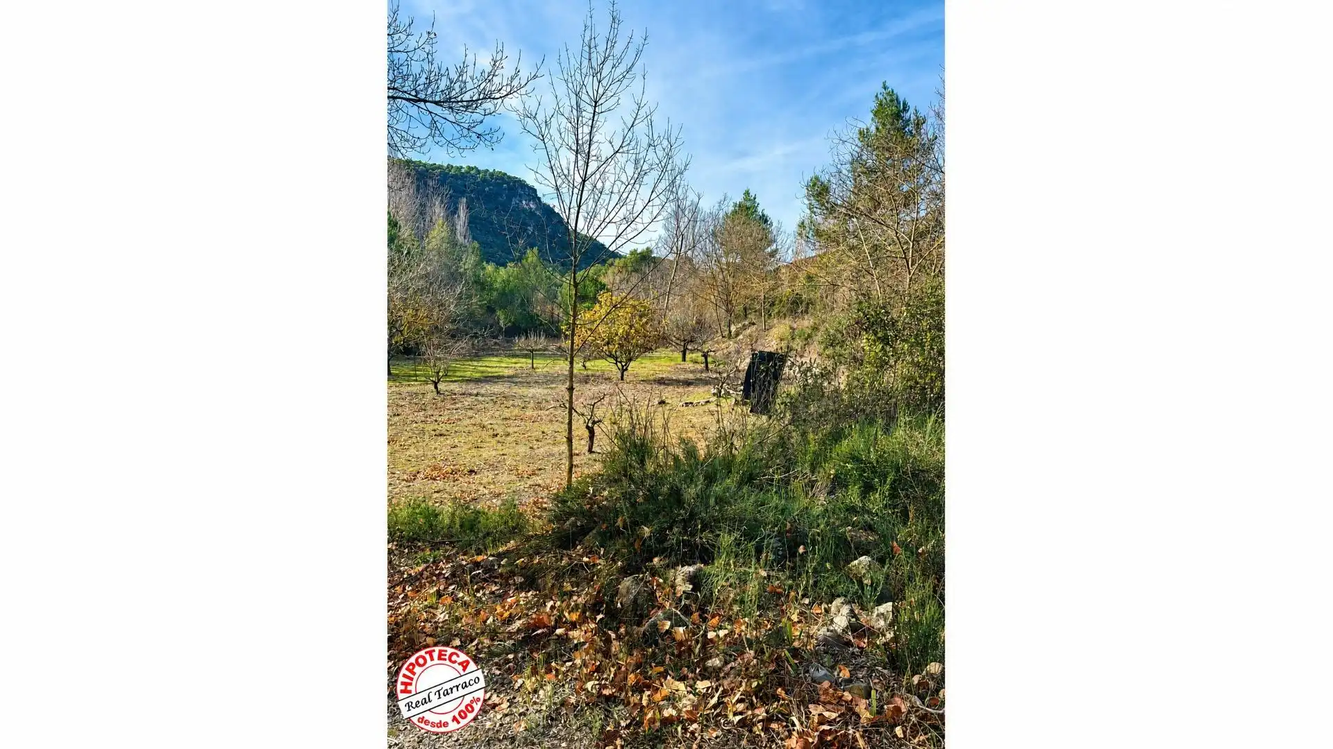 Terreno rústico en venta en Mont-ral, imagen 2