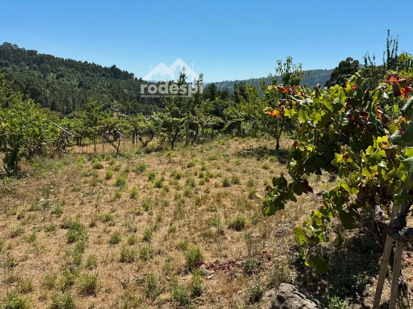 Maison à vendre à Crecente, imagen 20