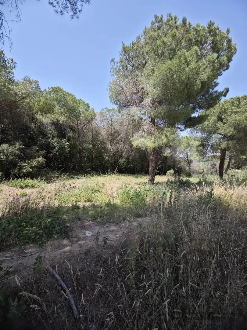 Terrenys i solars en venda a CASTELL DE MONTBUI, imagen 12