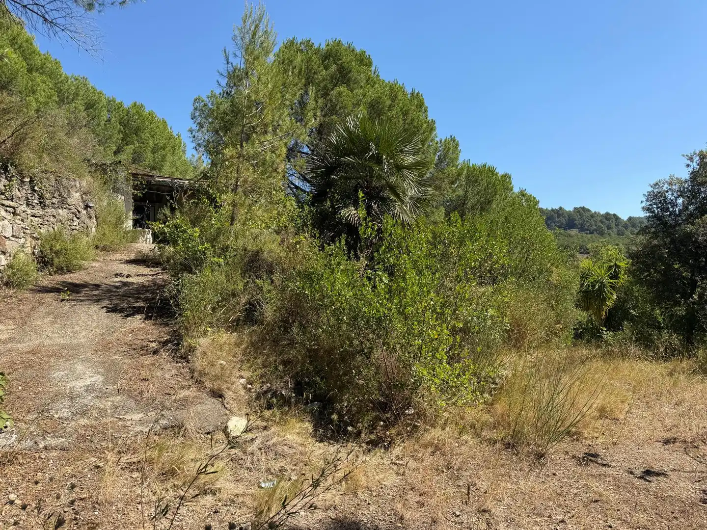 Country house with pool for sale in Cami de La Pedrera, imagen 31