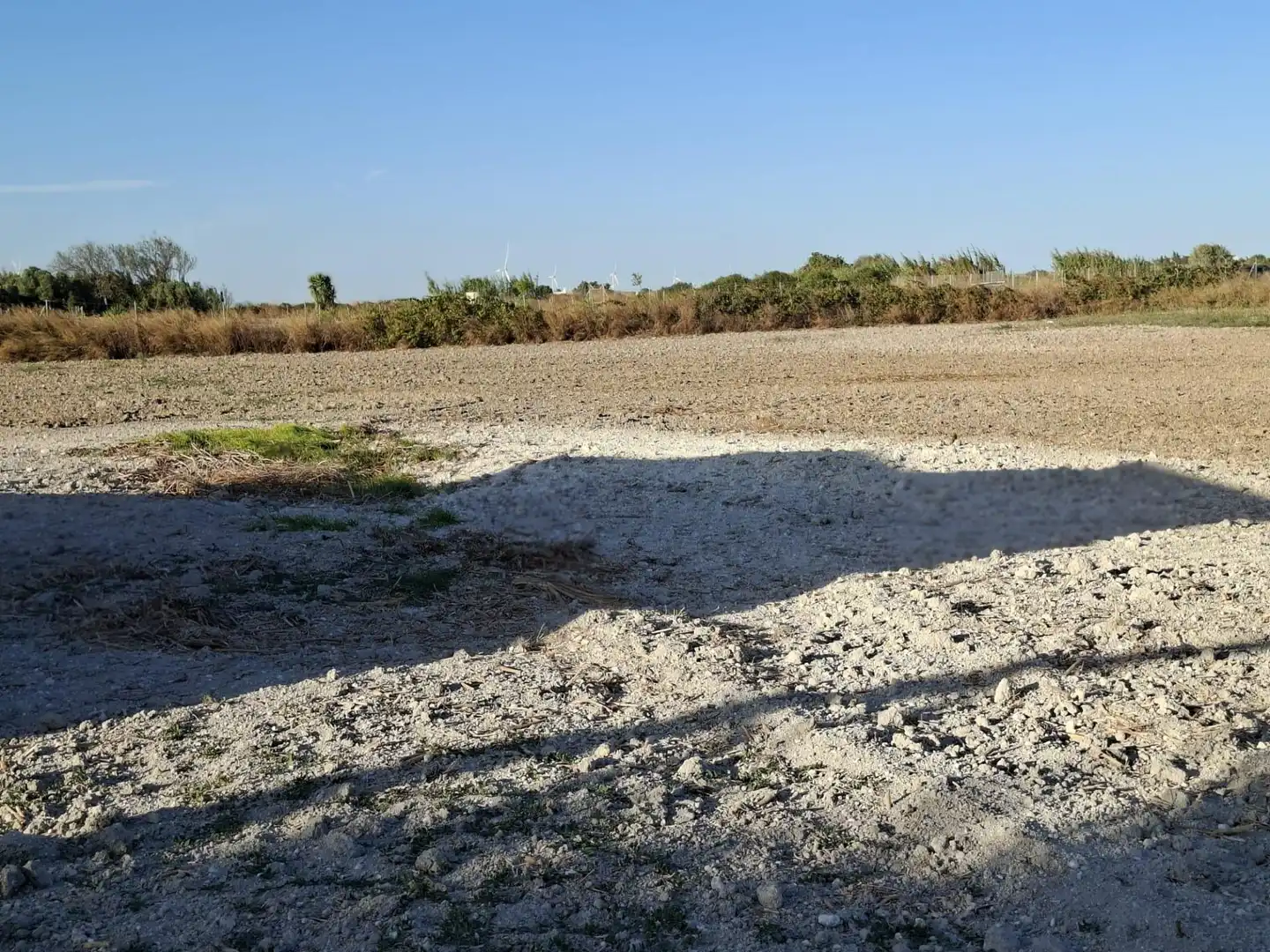 Finca rústica en venda en Chiclana de la Frontera
