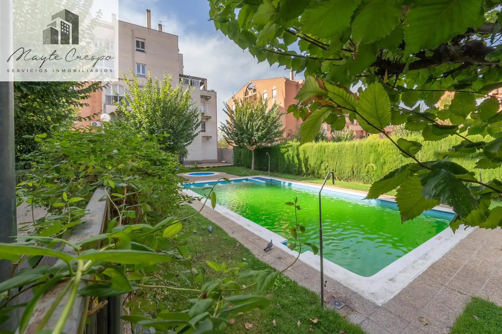 Pis amb piscina en venda a Norte, imagen 56
