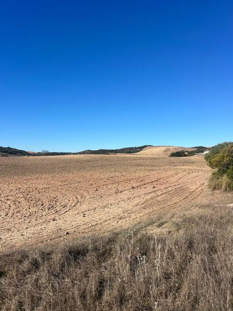 Terreny rústic en venda a Medina Sidonia, imagen 7
