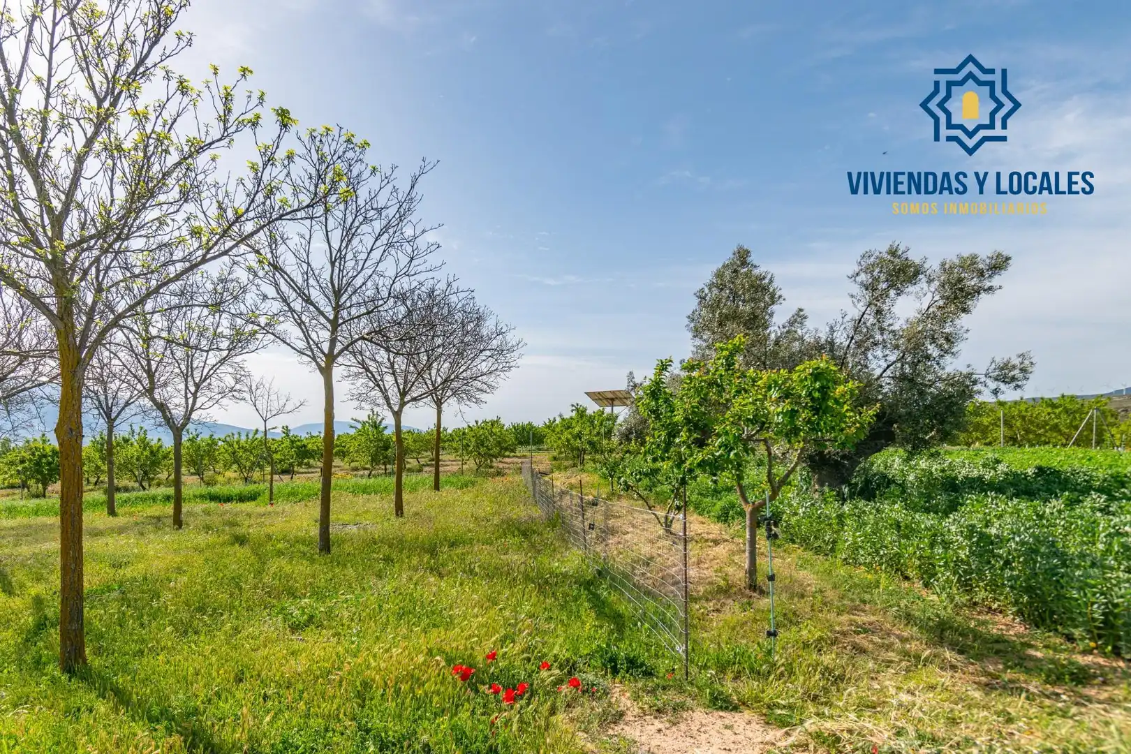 Terreni e lotti in vendita a Padul, imagen 18