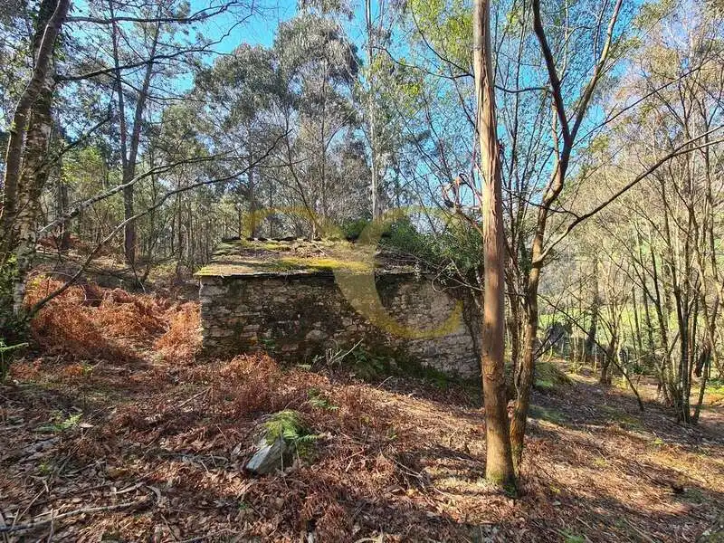 Vista exterior de Casa o xalet en venda en Villayón amb Jardí privat