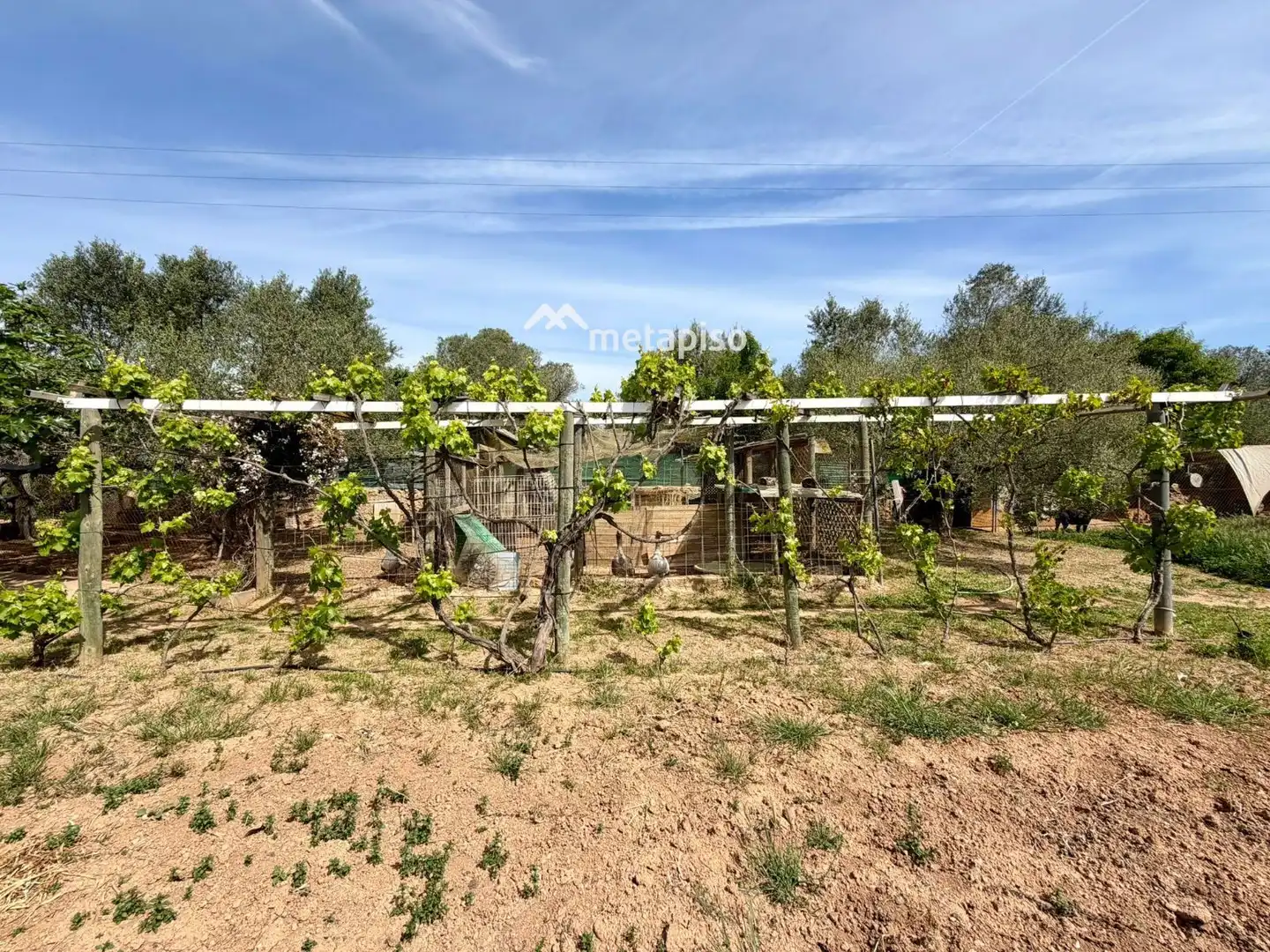 Terreno rustico in vendita a Santa Oliva, imagen 48