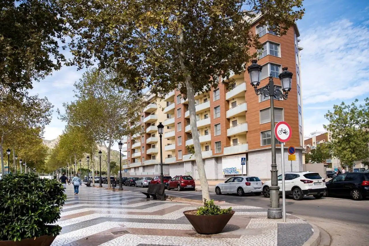 Appartement avec piscine à vendre à Carrer de la Partida de Palmers, imagen 8
