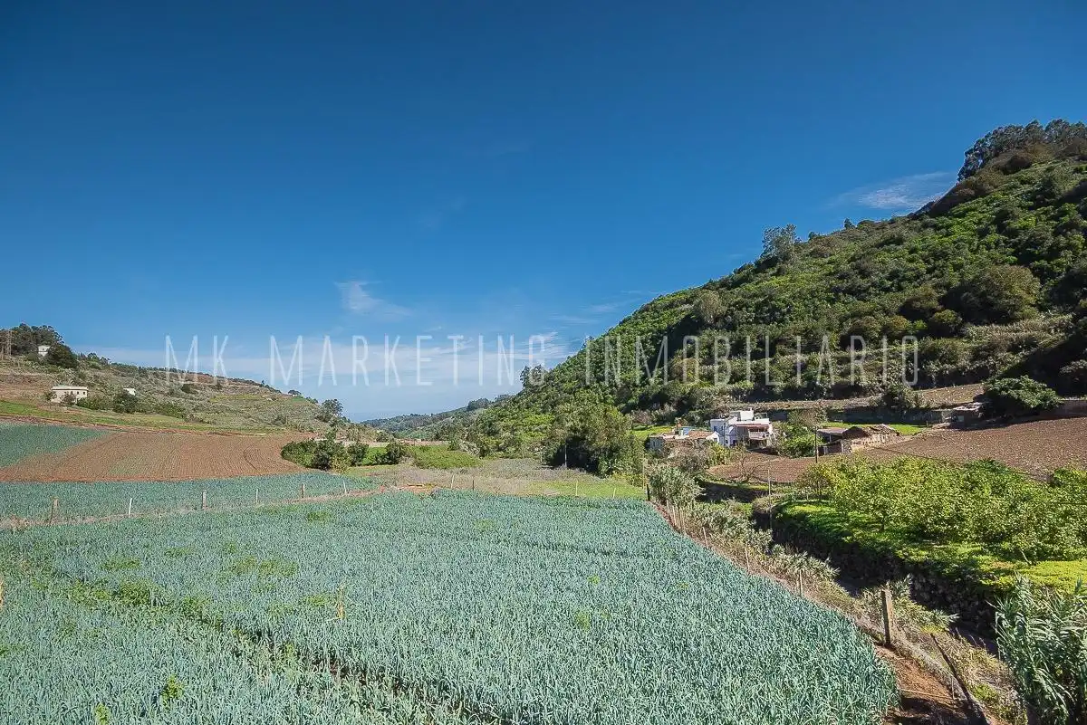 Casa o chalet en venta en Moya (Las Palmas) con Jardín privado, Terraza y Trastero