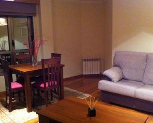 Sala d'estar de Apartament de lloguer en Ferrol amb Calefacció, Parquet i Moblat
