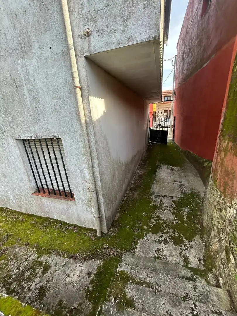 Exterior view of Houses for sale in Ribeira