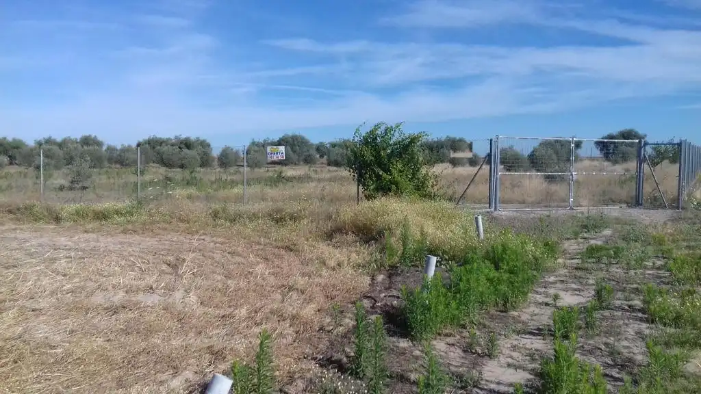 Terrain rustique à vendre à Don Benito, imagen 4