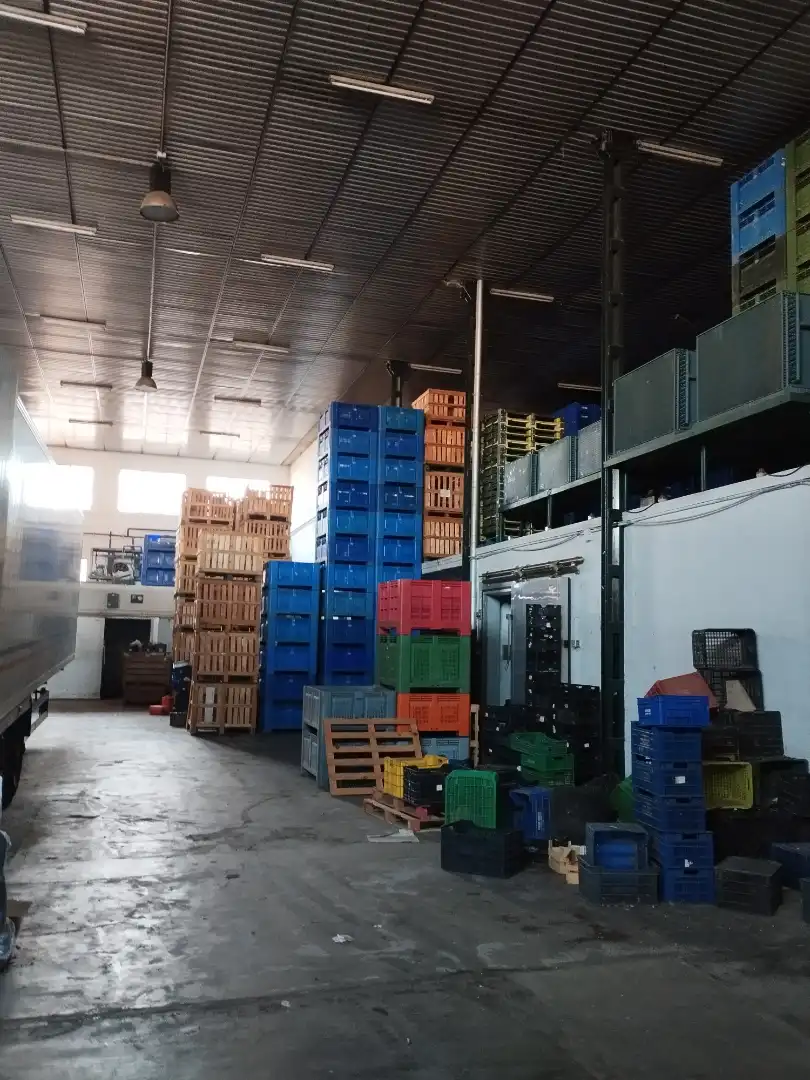 Nau industrial en venda en Zafra