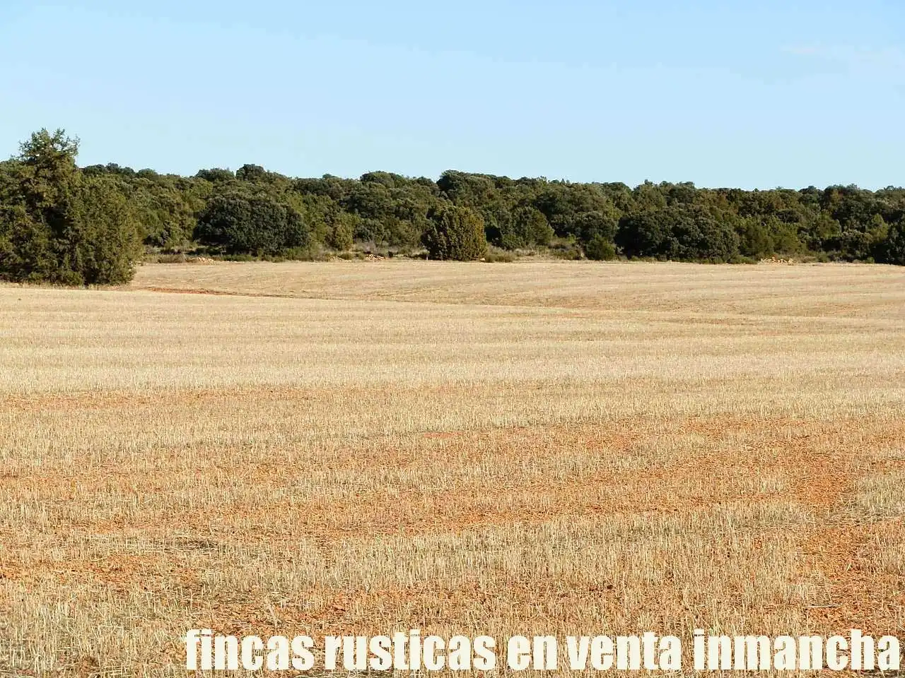 Lands and plots for sale in Ossa de Montiel, imagen 16