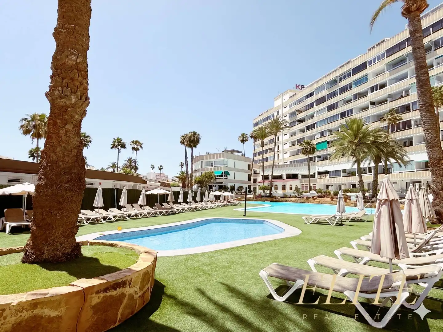 Swimming pool of Study for sale in San Bartolomé de Tirajana  with Private garden, Terrace and Furnished