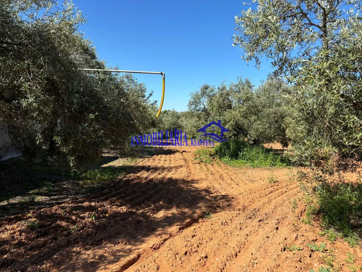 Casa rústica en venta en Montoro, imagen 25