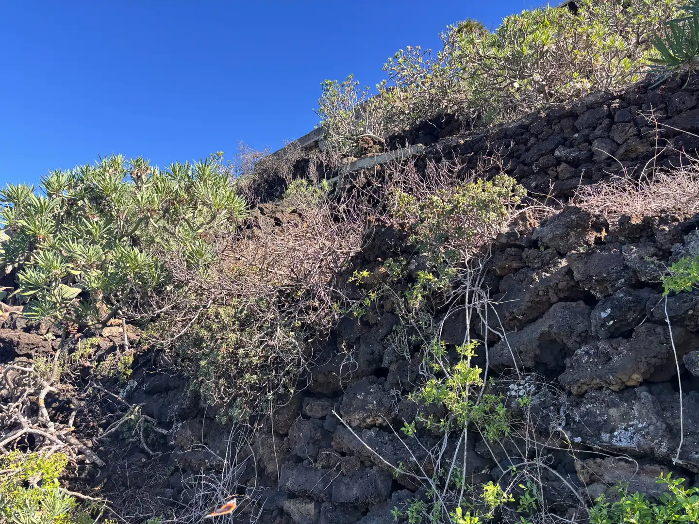 Terreno rustico in vendita a Camino de San Diego, imagen 11
