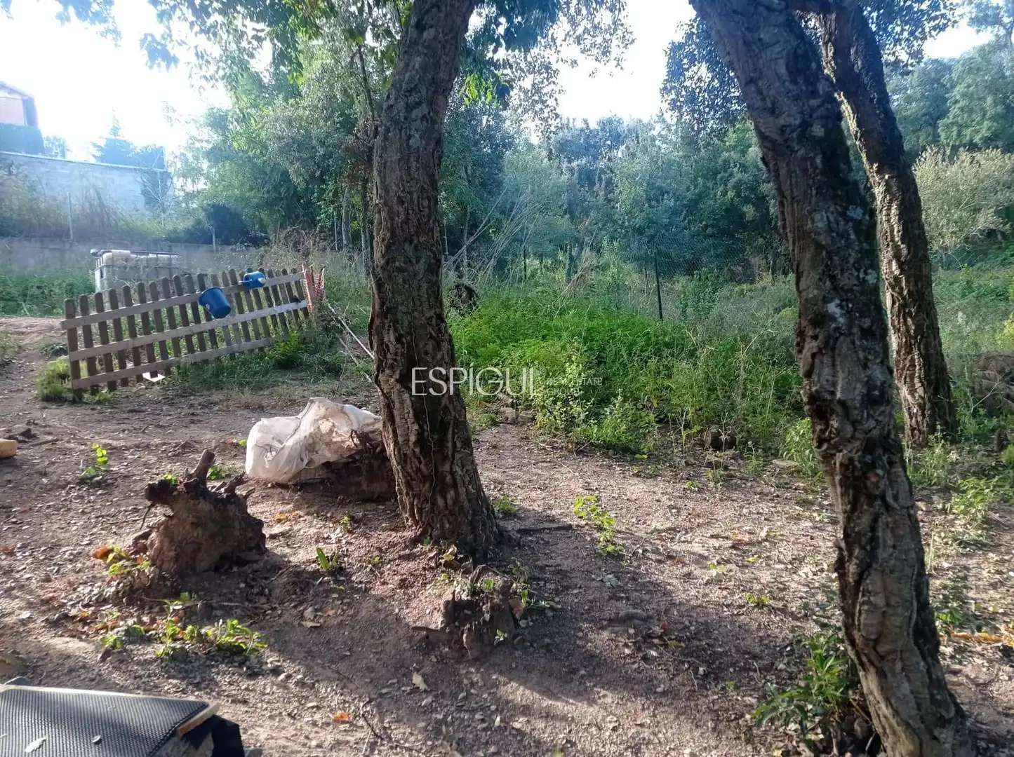 Terreno rústico en venta en Carrer Espliego