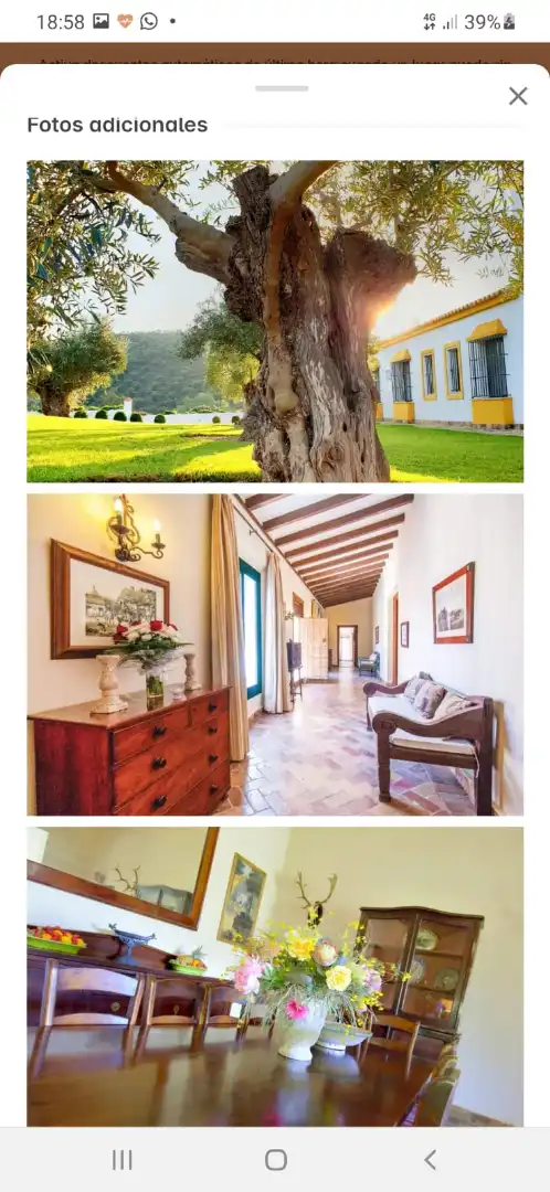 Jardí de Finca rústica en venda en Puerto Serrano amb Aire condicionat, Calefacció i Jardí privat