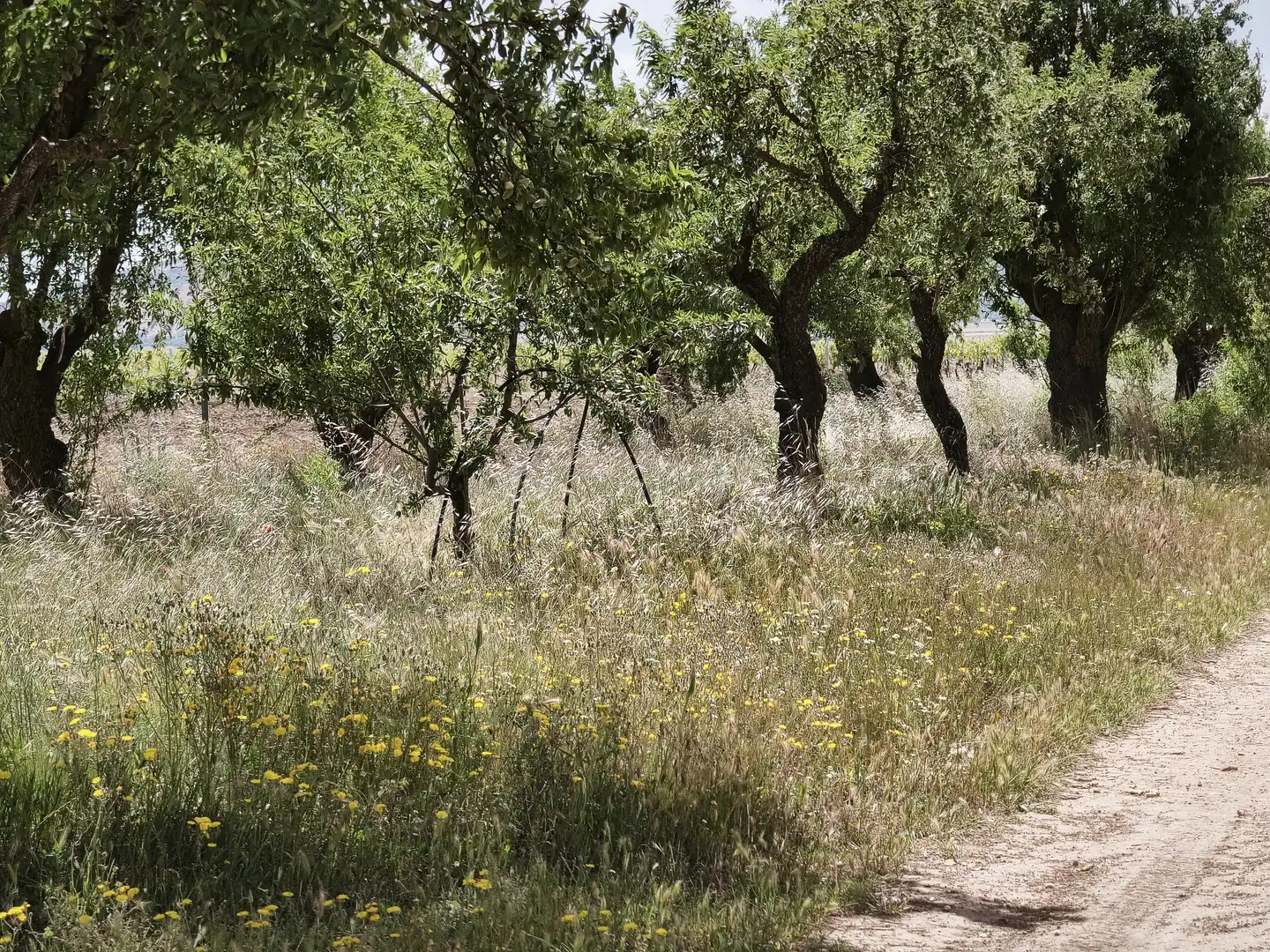 Terreno en venta en Madrid