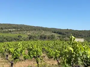 Rustikales Grundstück zum Verkauf in Carrer del Camp 9, imagen 7