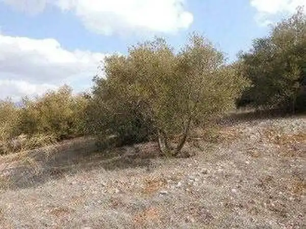 Terreni e lotti in vendita a Alcaudete, imagen 7