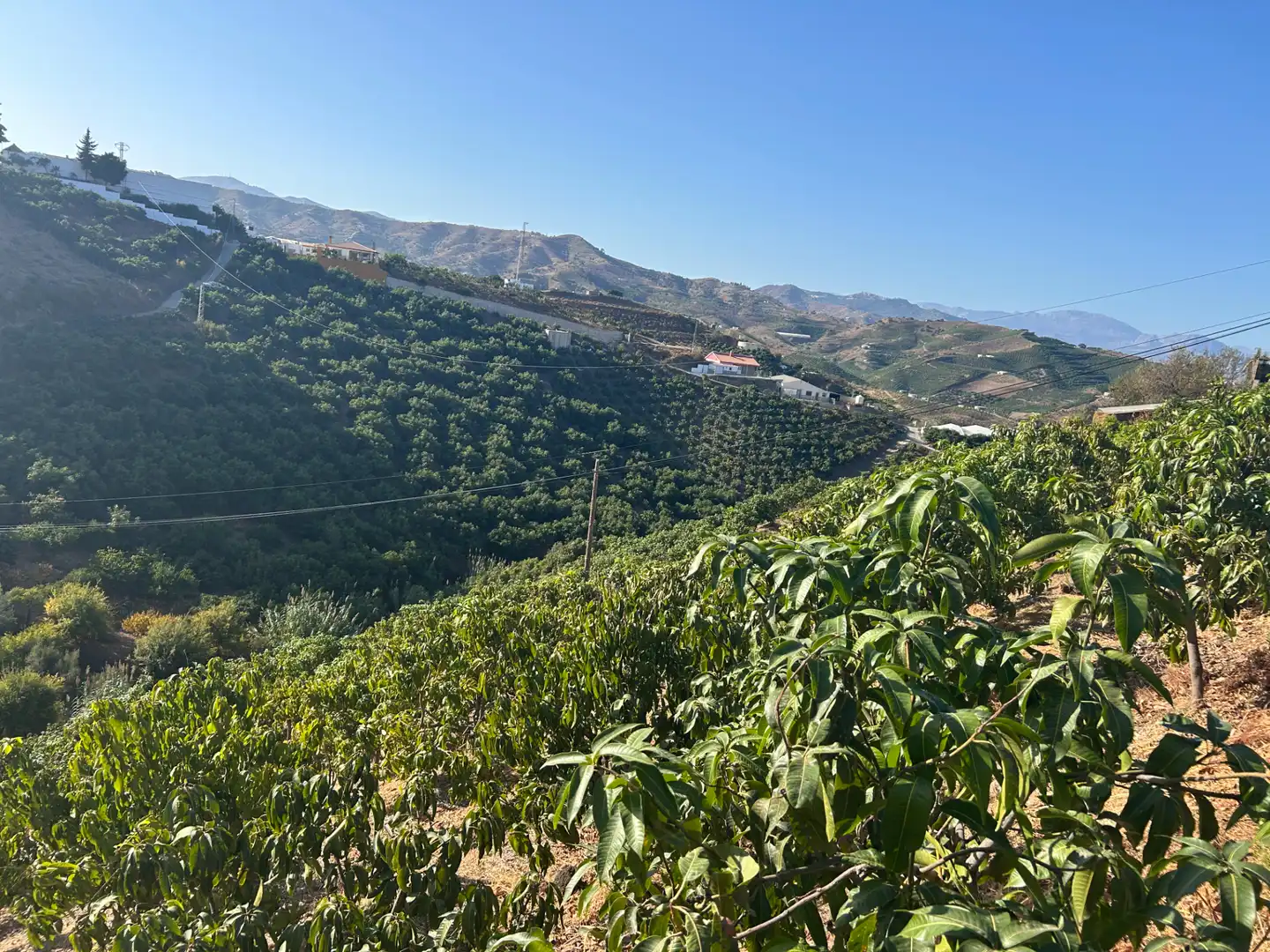 Vista exterior de Terreno en venta en Iznate