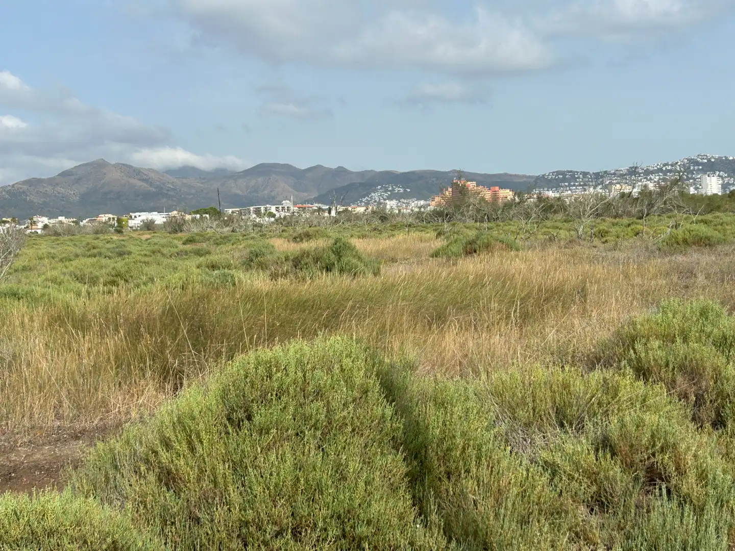 Terreny rústic en venda a Castelló d'Empúries, imagen 7