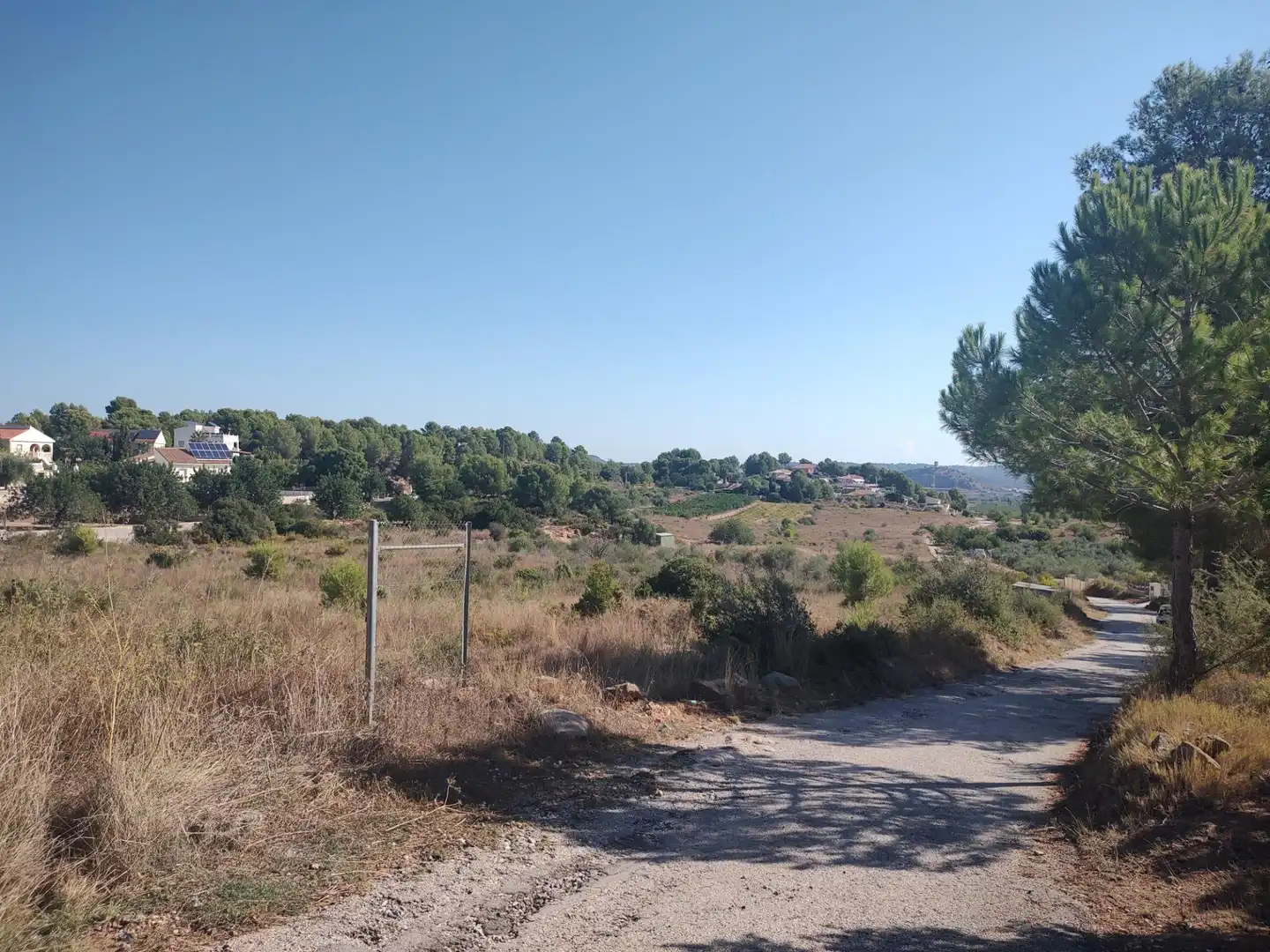 Terreno rústico en venta en Carrera Villa de Montroy