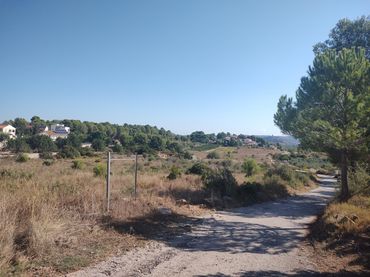 Terrain rustique à vendre à Carrera Villa de Montroy