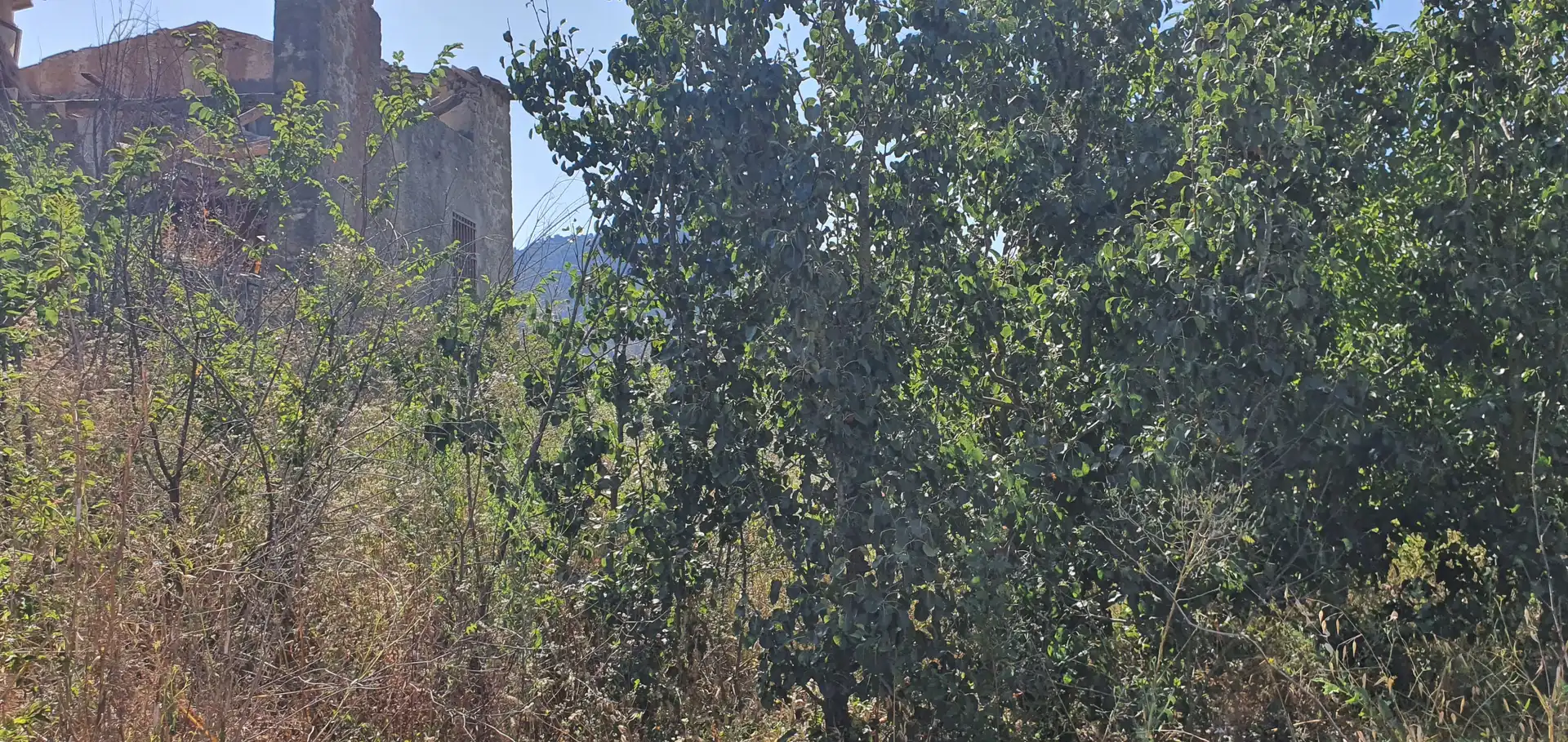 Casa o xalet en venda en Horta de Sant Joan