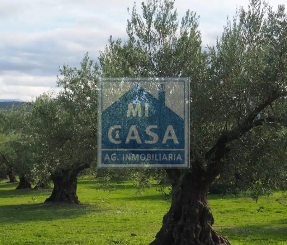 Terreni e lotti in vendita a Sur