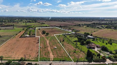 Foto 2 de Terreno en venta en Carrer D'antoni Maura, 79, Llucmajor pueblo, Llucmajor