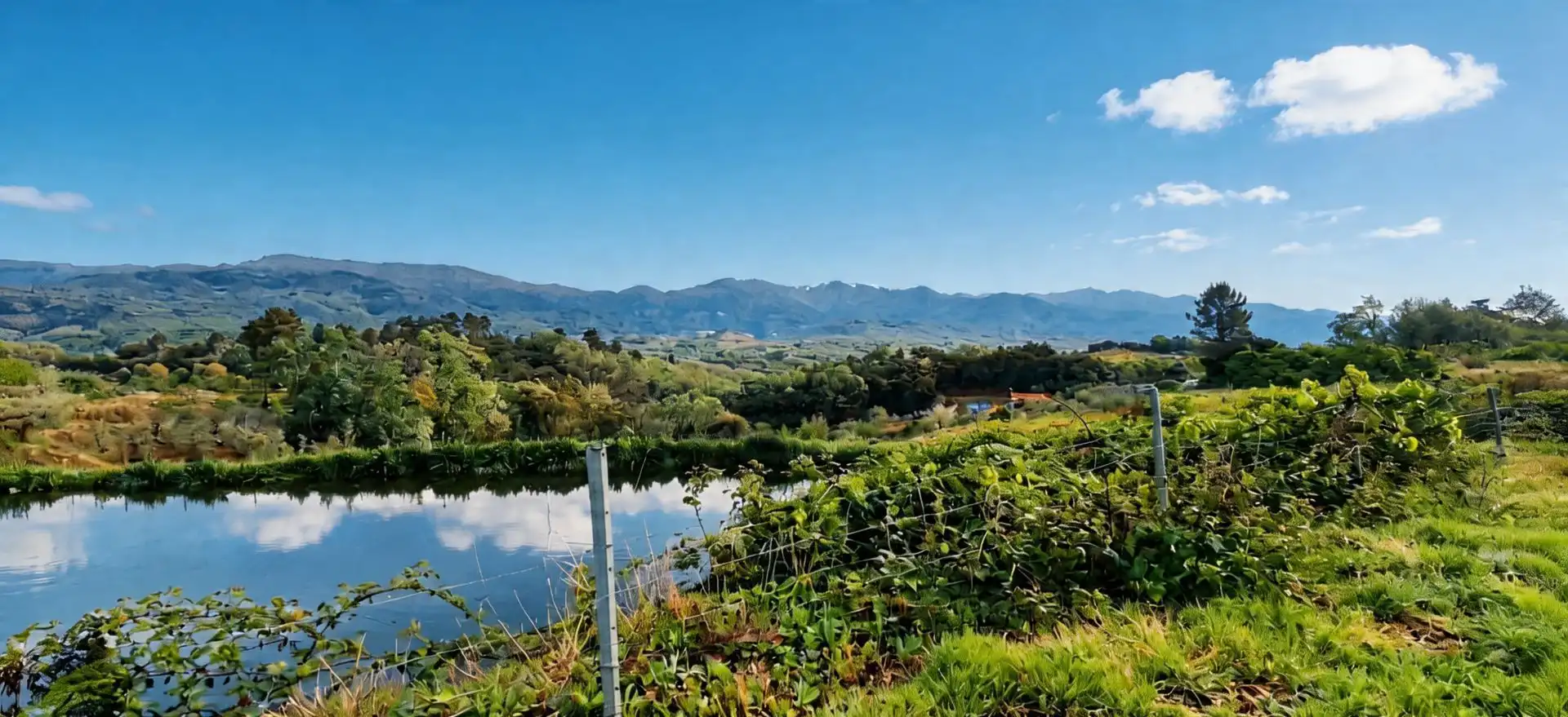 Terreny rústic en venda a Jaraíz de la Vera, imagen 29
