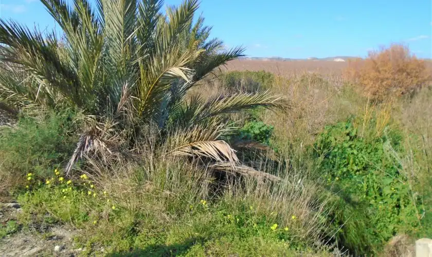 Casa o xalet en venda en Níjar amb Jardí privat, Terrassa i Moblat